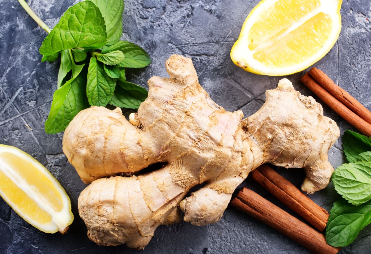Is Ginger Good for Fatty Liver / NAFLD? [Full Answer Here]