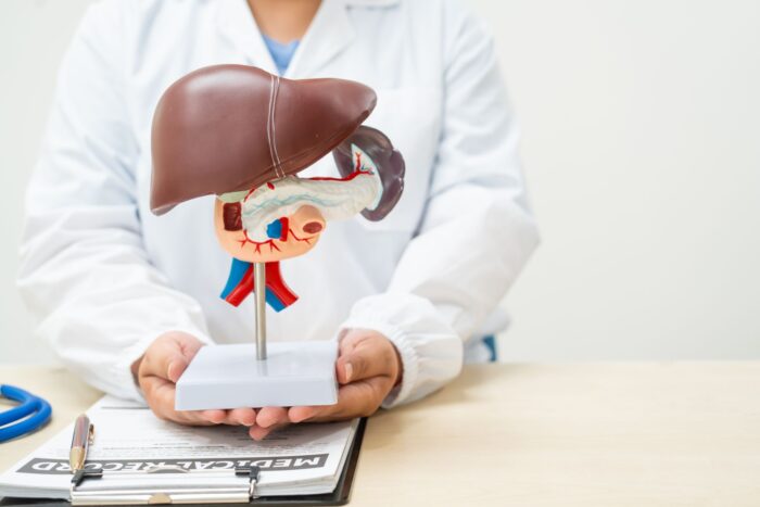 doctor showing patient a liver mockup