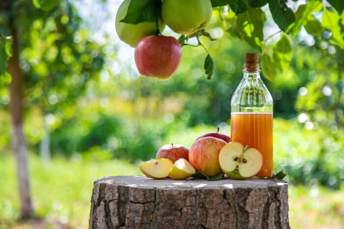 ACV and apples on a log