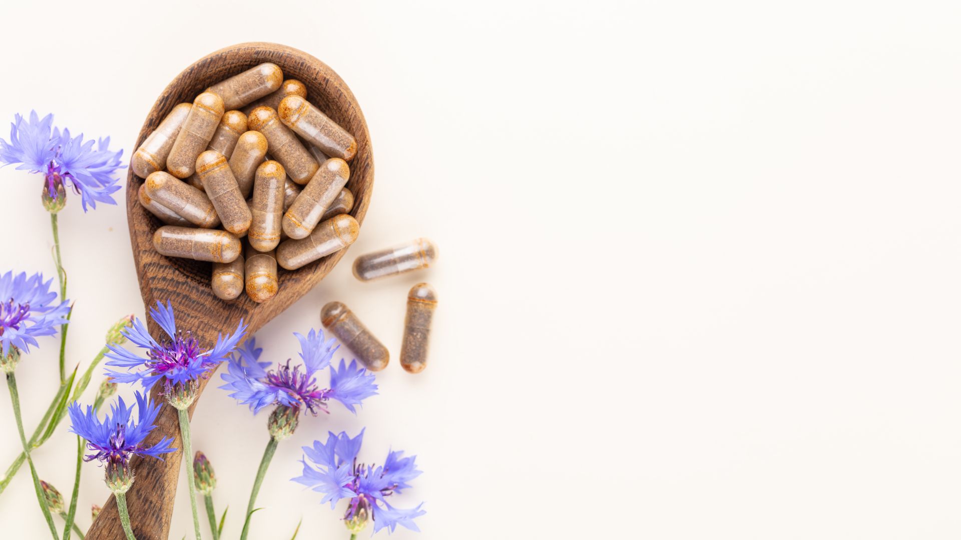 best milk thistle supplements