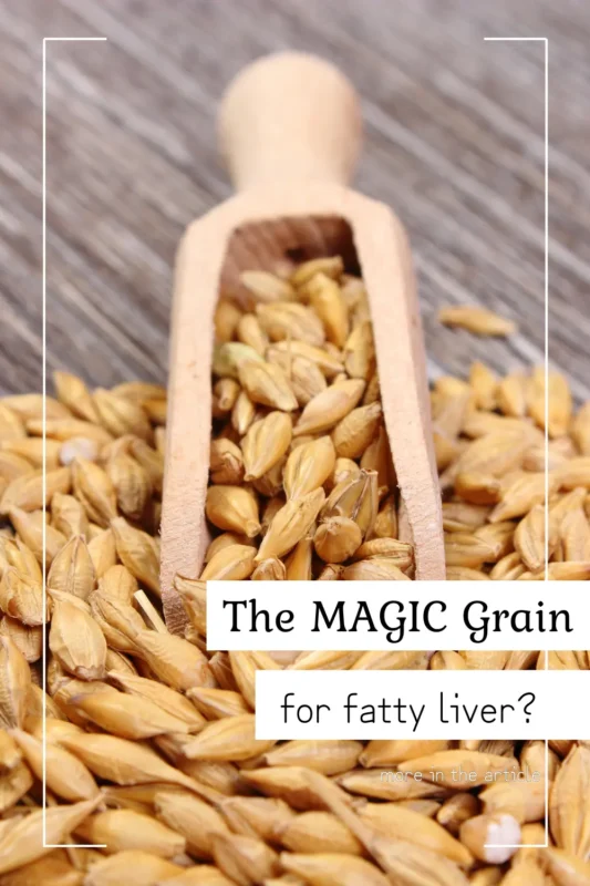 Barley and MASLD Pinterest Pin