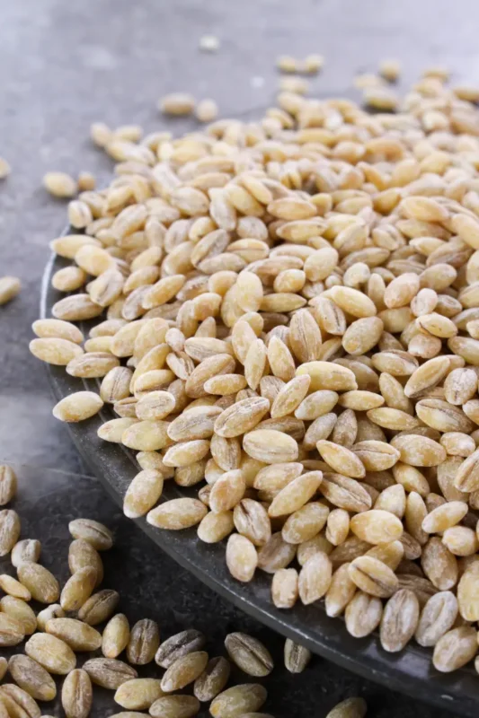 close-up of barley grains