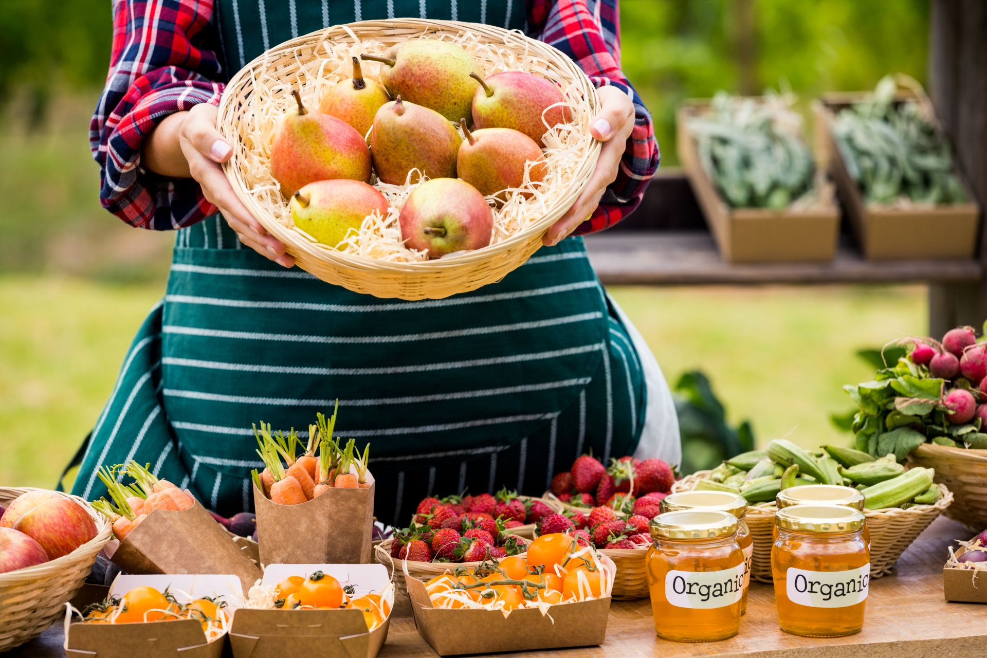 organic food