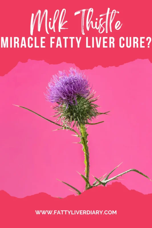 Milk Thistle For Fatty Liver Disease Pinterest Pin